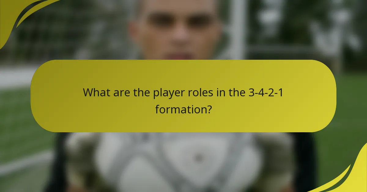 What are the player roles in the 3-4-2-1 formation?